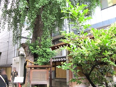 本能寺15
