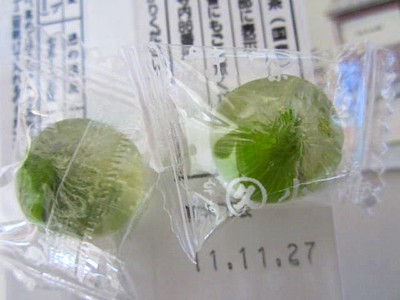 小山園21