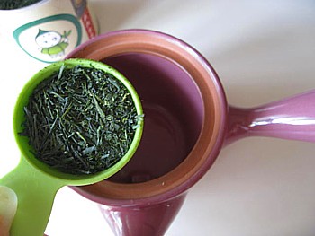 京都まろ茶11