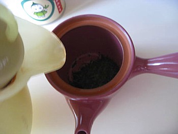 京都まろ茶12
