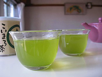 京都まろ茶13