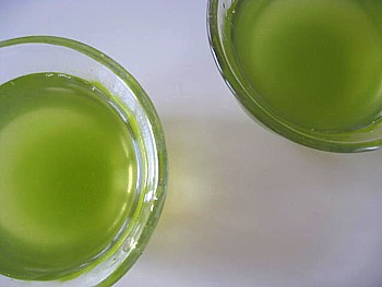 京都まろ茶14
