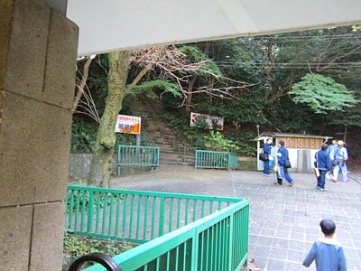 男山ケーブル山頂2