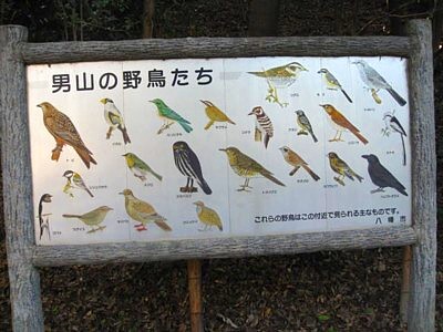 石清水 本殿2