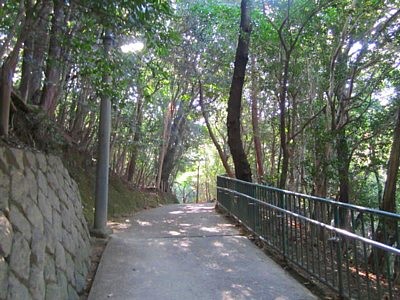 石清水 本殿5