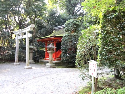 石清水 本殿6