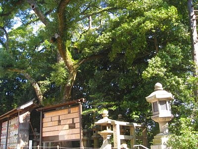 石清水 本殿10