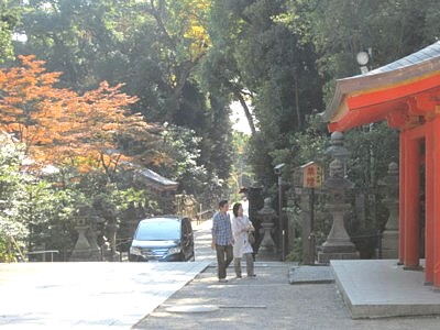 石清水 本殿16