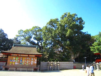 石清水 本殿18