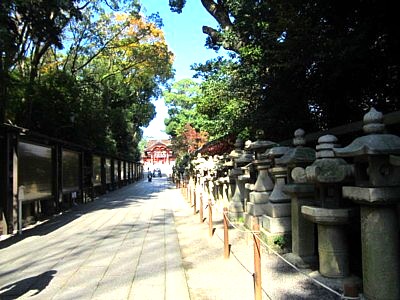 石清水 本殿26