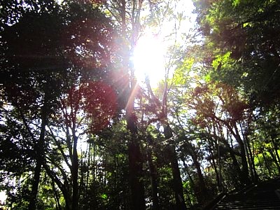 石清水八幡宮 下山4