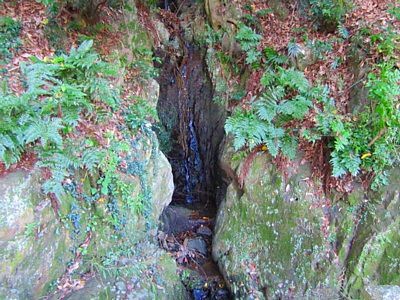 石清水八幡宮 下山8