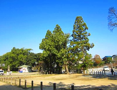 石清水八幡宮 下山11