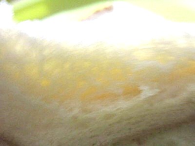 米のパン15