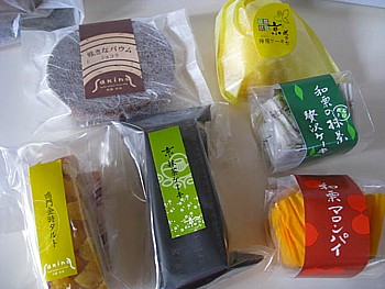 京都 咲きな6