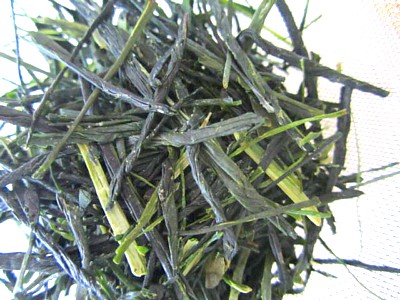京都おぶぶ茶11
