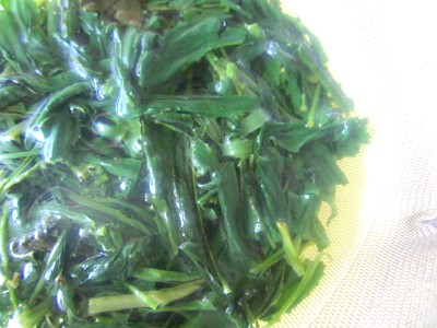 京都おぶぶ茶12