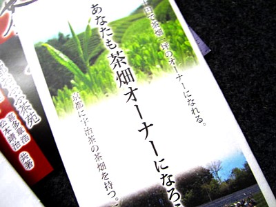京都おぶぶ茶17