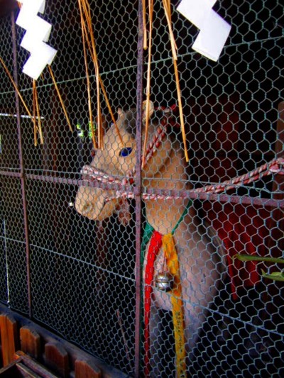 御香宮神社のお祭り18