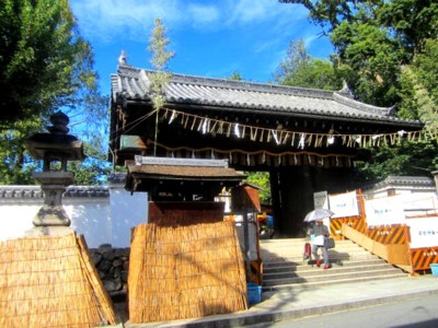 御香宮神社のお祭り33