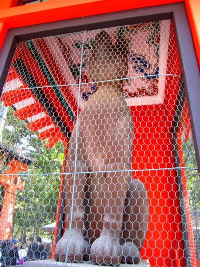 京都伏見稲荷神社13