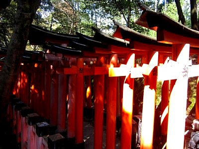京都伏見稲荷神社17