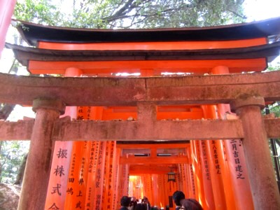京都伏見稲荷神社19