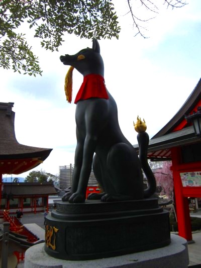 京都伏見稲荷神社22