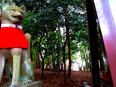 京都伏見稲荷神社24