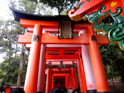 京都伏見稲荷神社25