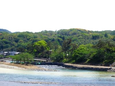 京都宇治 宇治大橋 4