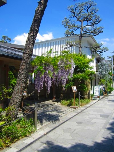 京都宇治 大橋手前 2
