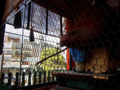 八坂神社35