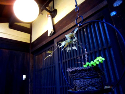 京都四条西木屋町周辺10