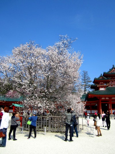 平安神宮6