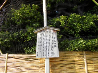 平安神宮8