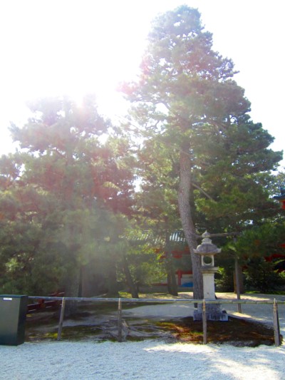 平安神宮11
