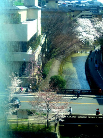 京都国立近代美術館9