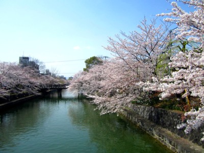 岡崎