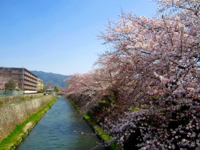 岡崎2