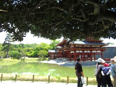 宇治平等院4