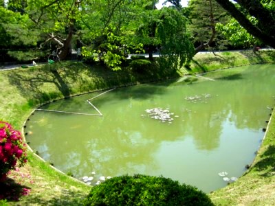 宇治平等院8