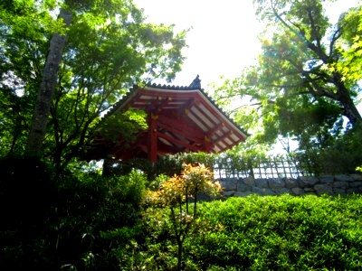 宇治平等院10