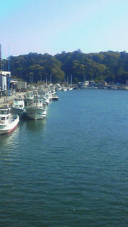 201005011452000.jpg