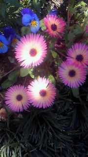 201005021215000.jpg