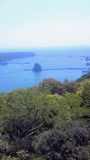 201005021212000.jpg