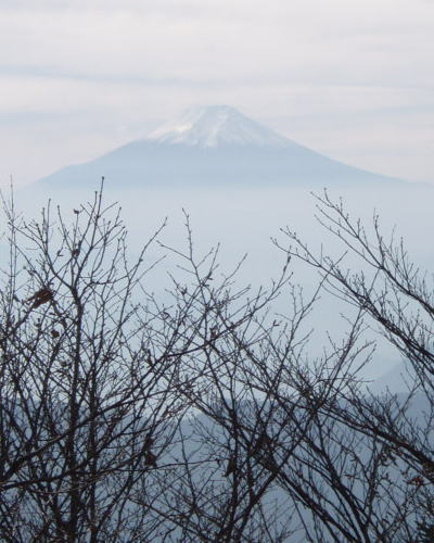 富士山