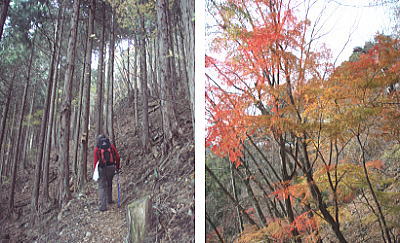 登山道