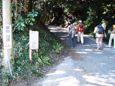 登山道