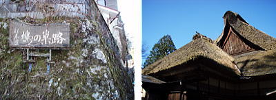 鳩ノ巣路